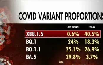 cicada covid variant symptoms — IN news