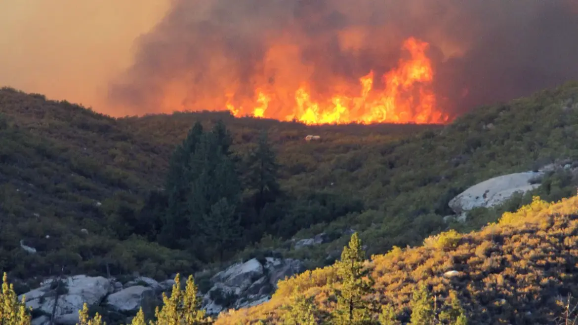 Climate Change: A Growing Threat to Global Stability