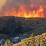 climate change — IN news