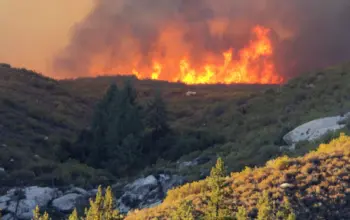 climate change — IN news