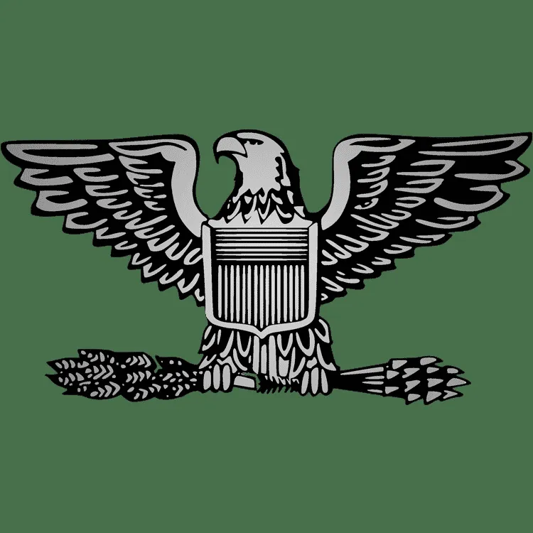 Colonel Sandeep Srivastava Reports Online Fraud in Pune