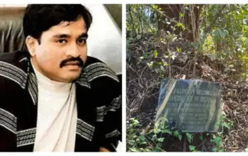 dawood — IN news