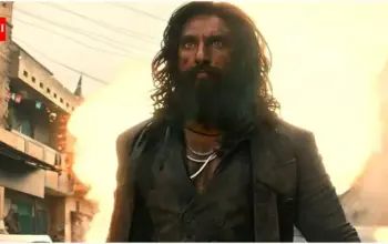 dhurandhar movie box office collection — IN news