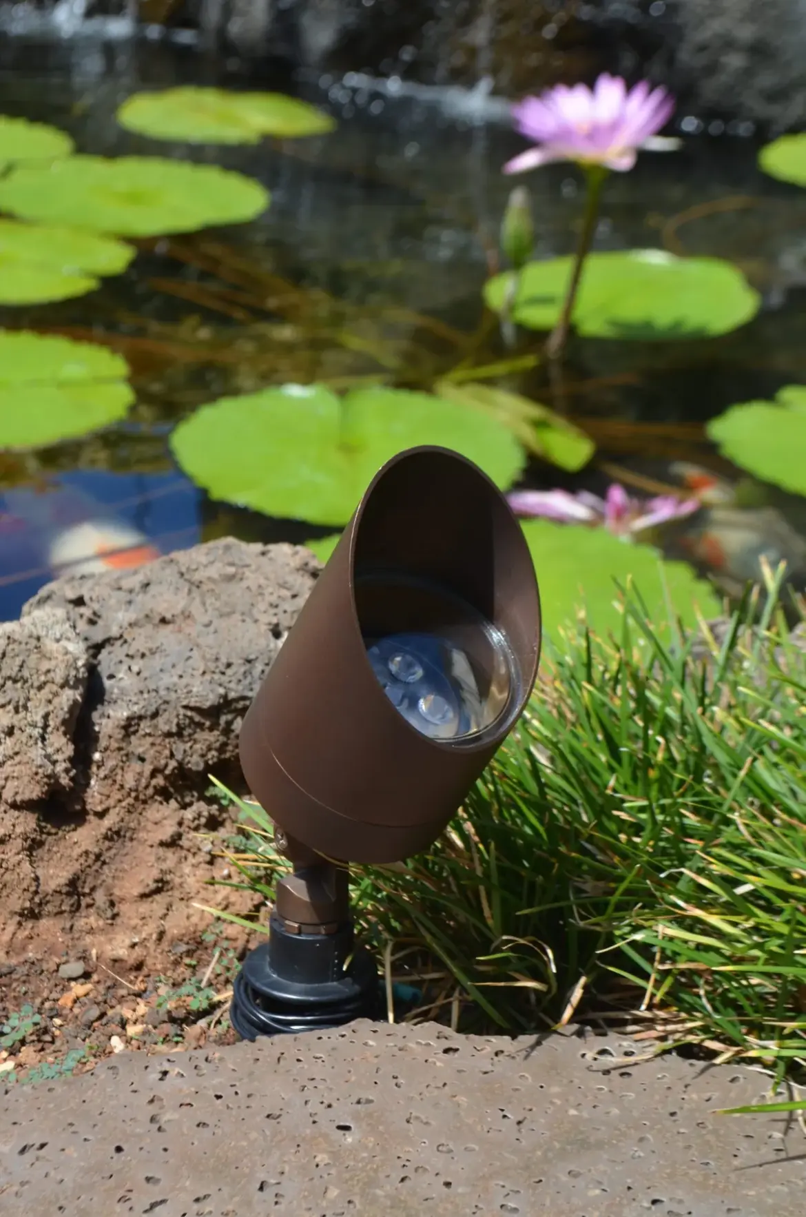 Dl45: Kerala Lottery Dhanalekshmi DL-45 Results: What You Need to Know