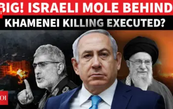 esmail qaani — IN news