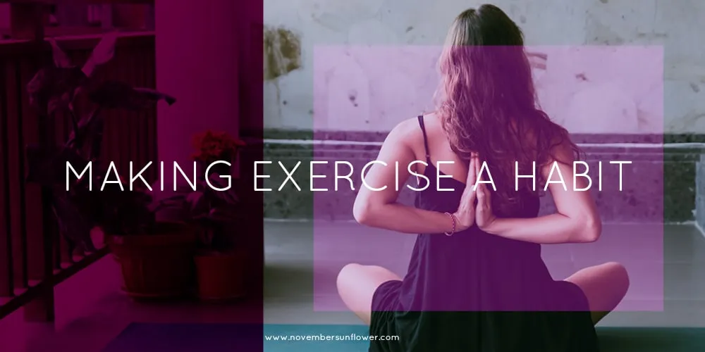 Exercise: NATO and India Launch Major Military s Amid Global Tensions