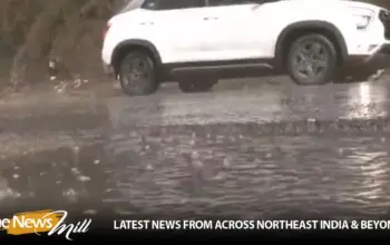 hailstorm — IN news