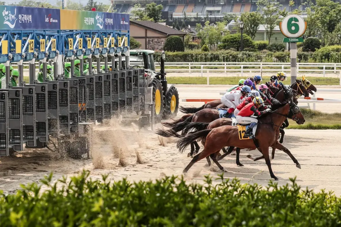 Jeju island: Impact of Recent Developments on