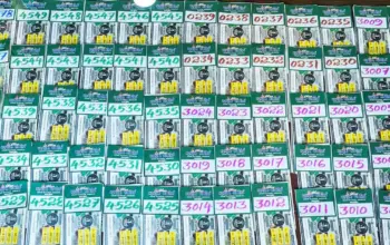 lottery result — IN news