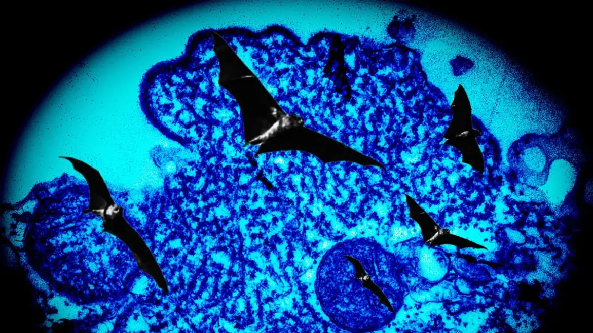 Nipah Virus: Kerala Faces Renewed Threat Amidst Outbreaks