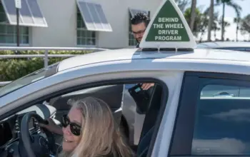 palm beach — IN news