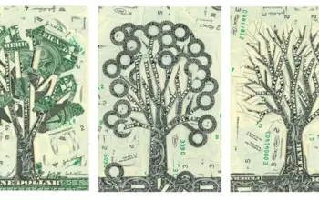 phd student — IN news