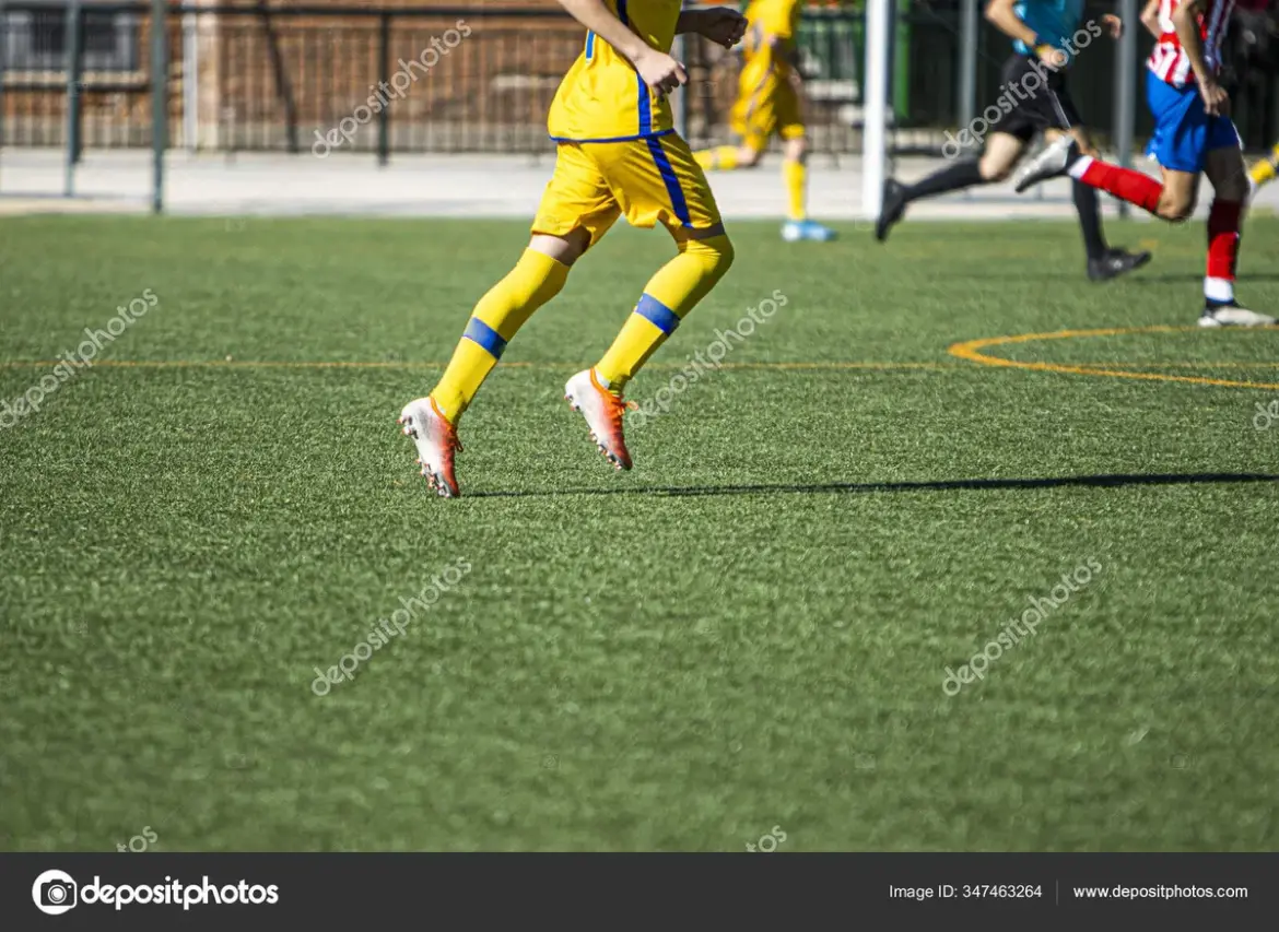 Playing Match: T20 Cricket Showdown on February 15, 2026