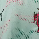 portugal fc — IN news