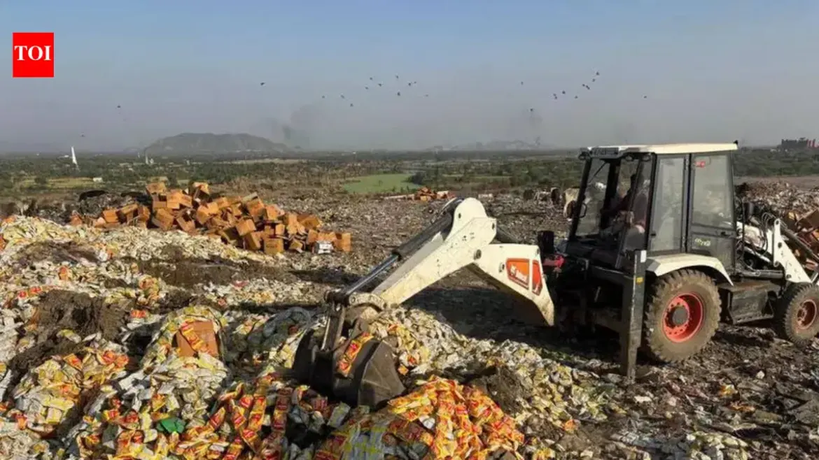 Raid Uncovers Expired Food Products and Drug Trafficking in India