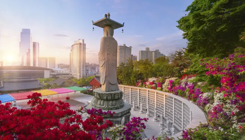 south korea — IN news