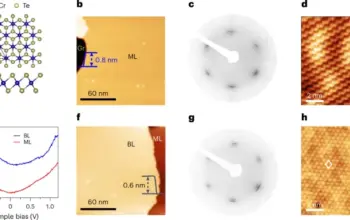 temperature — IN news