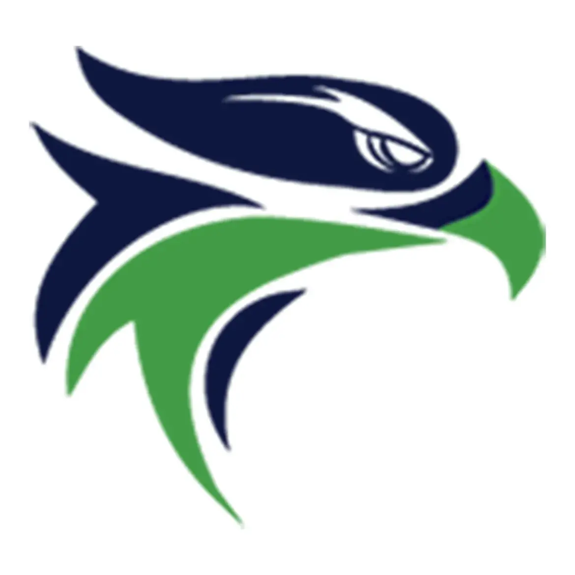 The Hundred Auction 2026: Key Players and Insights