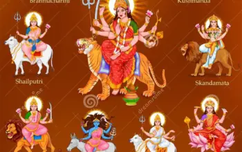 today navratri day — IN news