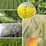 upl — IN news