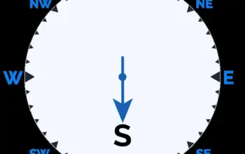 weather jaipur — IN news