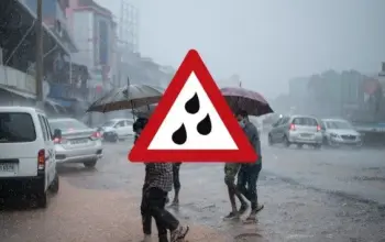 weather jalandhar — IN news