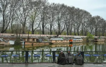 weather srinagar — IN news