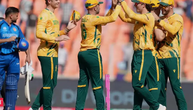 zim vs sa — IN news