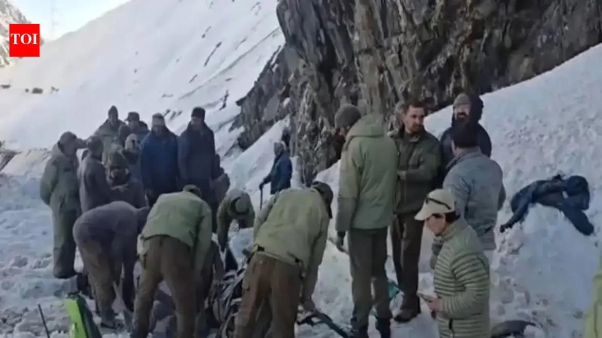 Zojila pass: Tragedy Strikes at : Avalanche Claims Lives