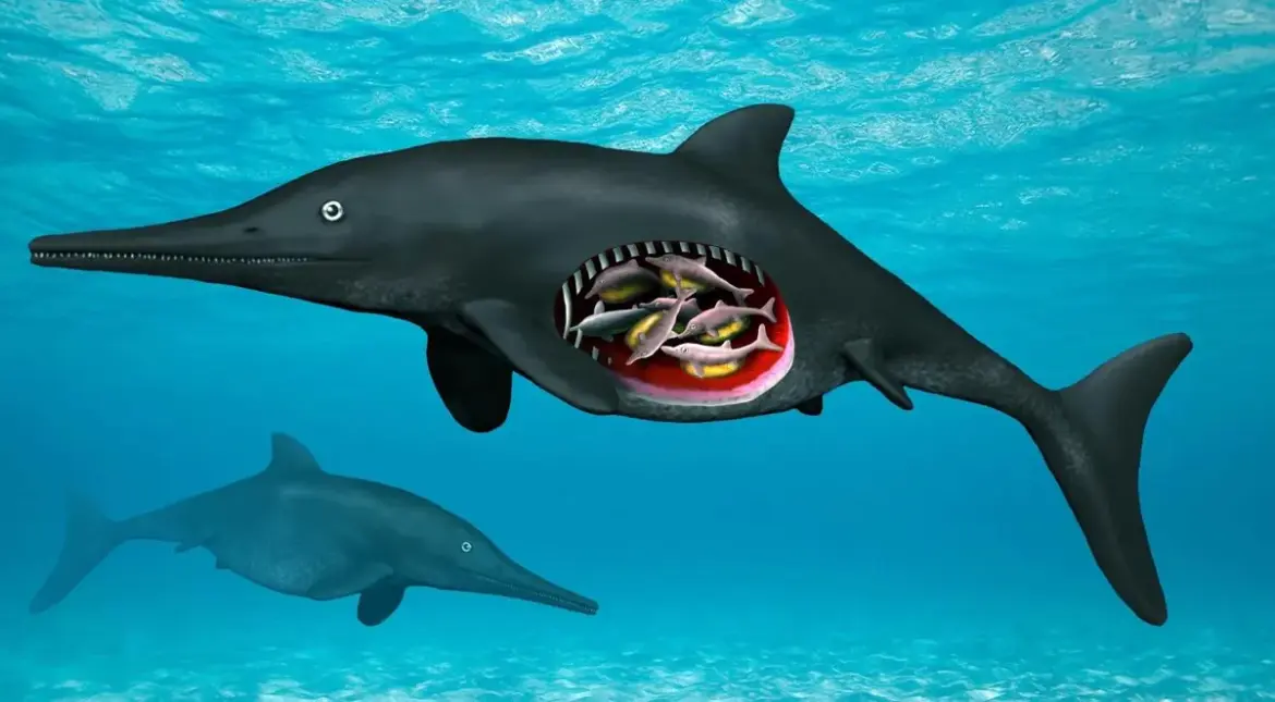 180 million year old ichthyosaur discovery in Germany