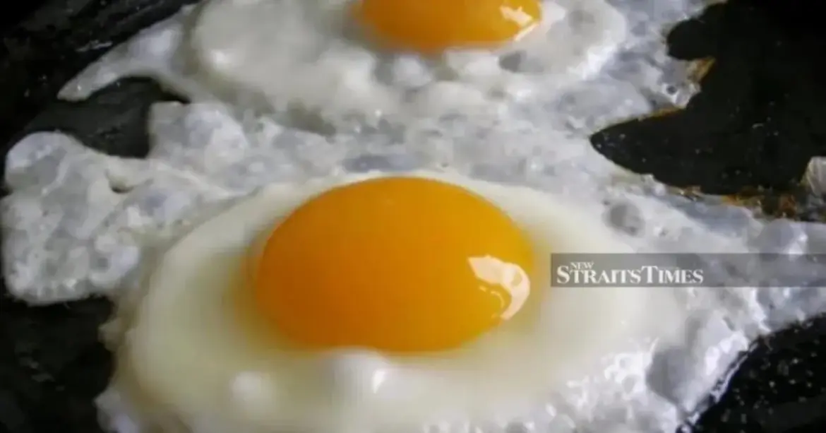 Bengaluru Canteen Food Poisoning Affects 97 Employees