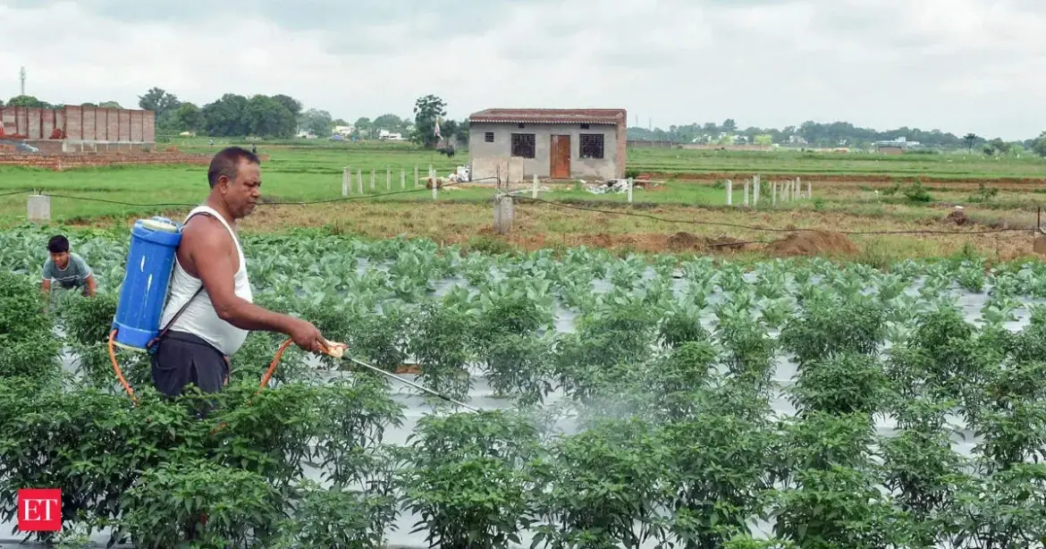 IMD 2026 Monsoon Forecast: A Shift Towards Below Normal Rainfall