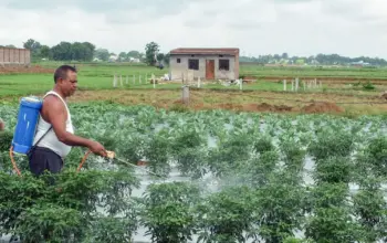 imd 2026 monsoon forecast — IN news