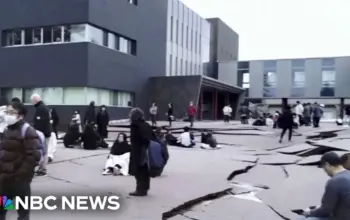 japan earthquakes tsunami warning — IN news