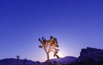 lyrid meteor shower — IN news