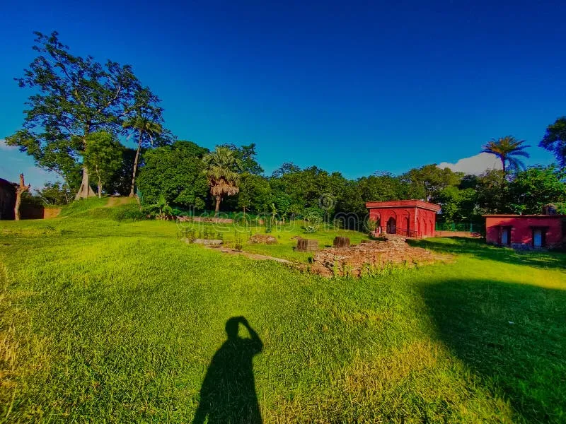 Malda West Bengal: Arrests Made in Connection with Recent Violence