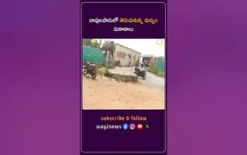 మద్యం — IN news