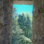 pathirana — IN news