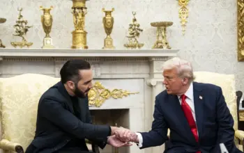 salvador — IN news