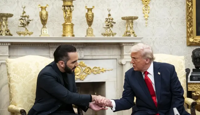 salvador — IN news