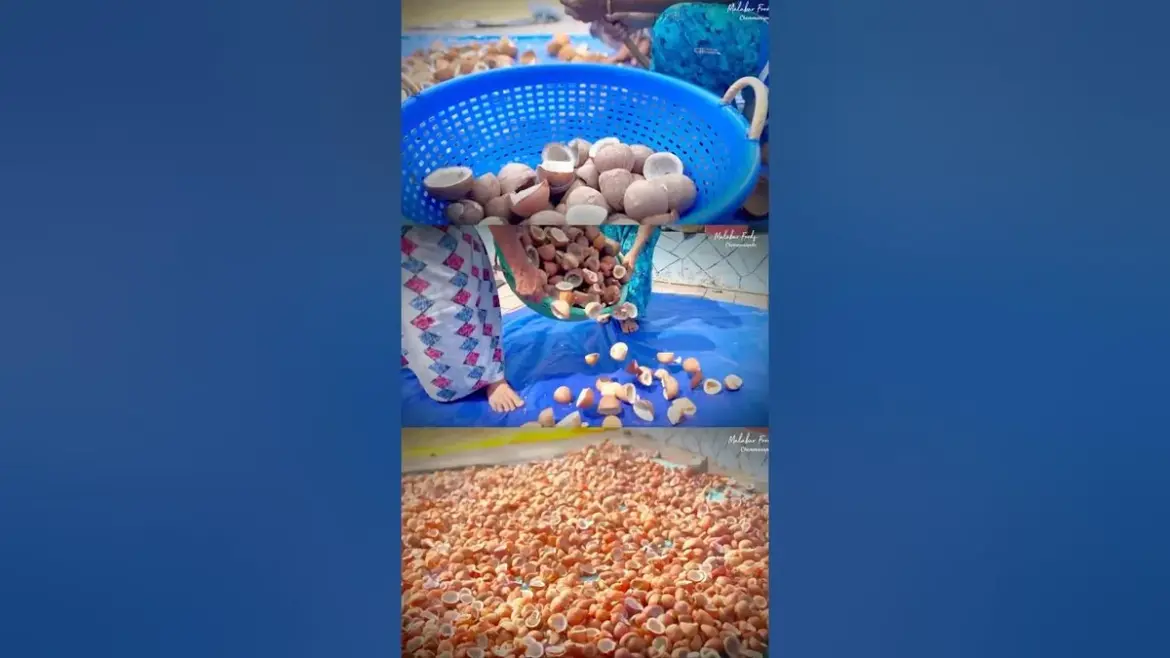 വെളിച്ചെണ്ണ: Coconut Prices in Kerala: Middlemen Exploit Consumers Amid Price Drops