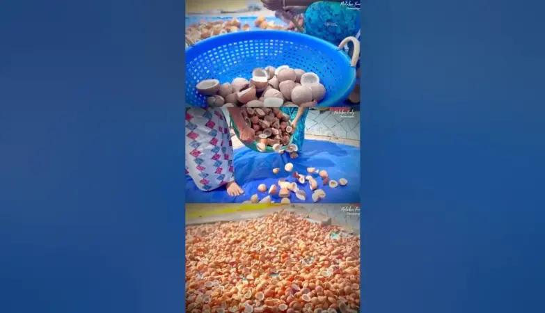 വെളിച്ചെണ്ണ — IN news