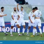 verona vs fiorentina — IN news