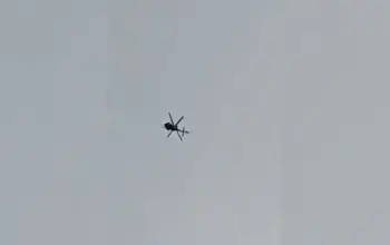 video videos — IN news