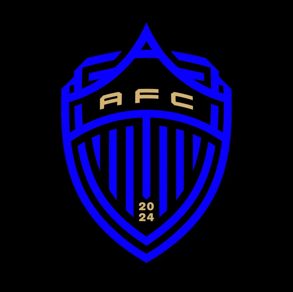 Auckland fc vs melbourne city fc
