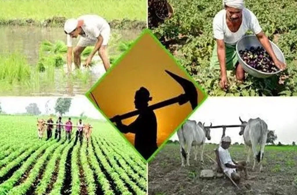 Agriculture Festival Highlighted by Central Agriculture Minister’s Initiative
