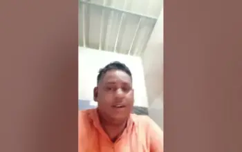 मई — IN news